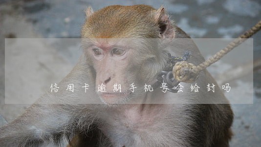 信用卡逾期手机号会给封吗