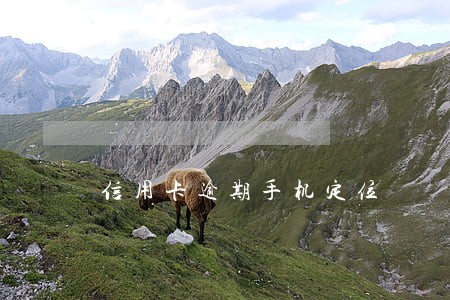 信用卡逾期手机定位