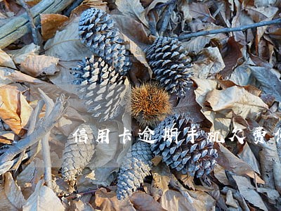 信用卡逾期手机欠费停机 信用卡逾期手机欠费停机