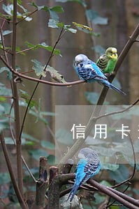 信用卡逾期手机空号会有事吗 信用卡逾期手机空号会有事吗