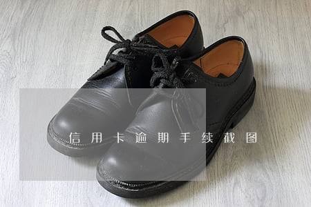 信用卡逾期手续截图 信用卡逾期手续截图