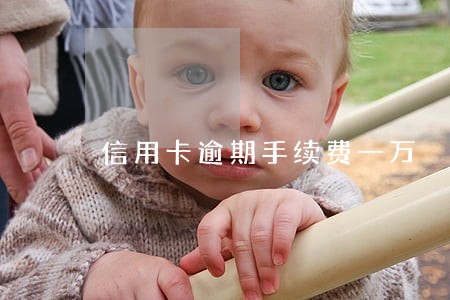 信用卡逾期手续费一万 信用卡逾期手续费一万