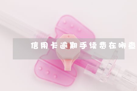 信用卡逾期手续费在哪查 信用卡逾期手续费在哪查