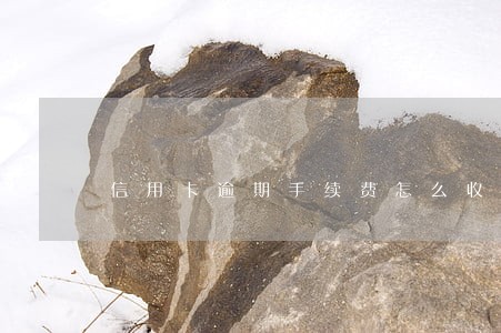 信用卡逾期手续费怎么收