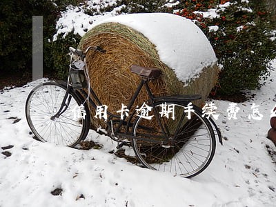 信用卡逾期手续费怎么查