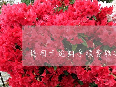 信用卡逾期手续费能减免 信用卡逾期手续费能减免