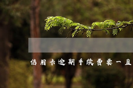 信用卡逾期手续费要一直加吗 信用卡逾期手续费要一直加吗