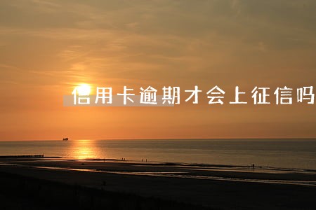 信用卡逾期才会上征信吗 信用卡逾期才会上征信吗