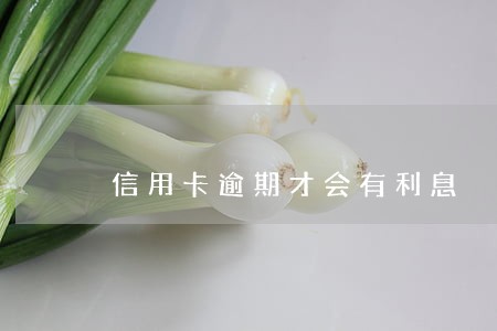 信用卡逾期才会有利息 信用卡逾期才会有利息