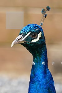 信用卡逾期打不来款怎么办 信用卡逾期打不来款怎么办