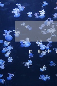 信用卡逾期打不进来 信用卡逾期打不进来