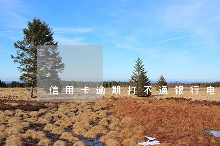 信用卡逾期打不通银行电话