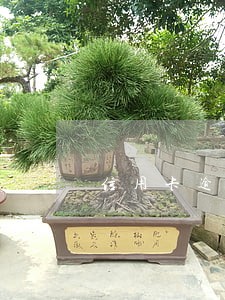 信用卡逾期打什么电话咨询 信用卡逾期打什么电话咨询