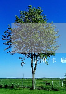 信用卡逾期打入黑名单的后果 信用卡逾期打入黑名单的后果