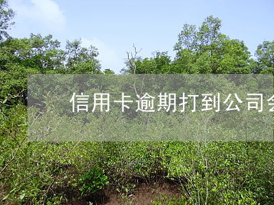 信用卡逾期打到公司会被开除吗 信用卡逾期打到公司会被开除吗