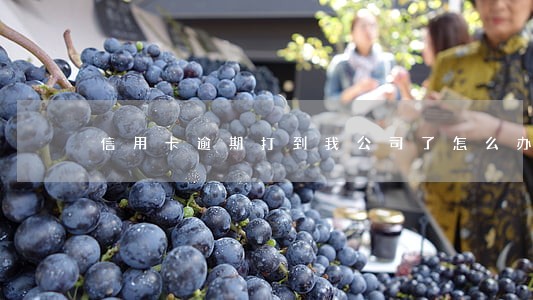 信用卡逾期打到我公司了怎么办 信用卡逾期打到我公司了怎么办