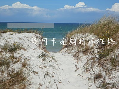 信用卡逾期打印征信 信用卡逾期打印征信