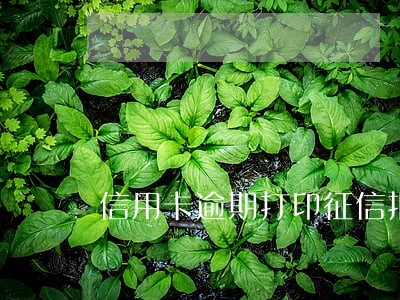 信用卡逾期打印征信报告 信用卡逾期打印征信报告
