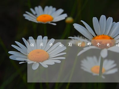 信用卡逾期打哪个电话主动协商 信用卡逾期打哪个电话主动协商