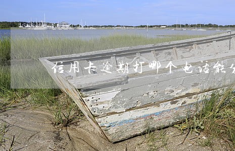 信用卡逾期打哪个电话能分期 信用卡逾期打哪个电话能分期