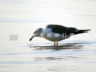 信用卡逾期打哪些电话 信用卡逾期打哪些电话