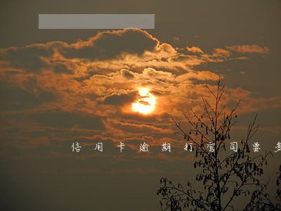 信用卡逾期打官司要多少钱 信用卡逾期打官司要多少钱