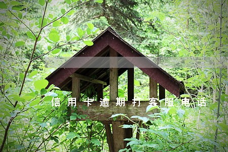 信用卡逾期打客服电话 信用卡逾期打客服电话