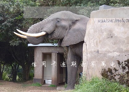 信用卡逾期打家属电话不接 信用卡逾期打家属电话不接