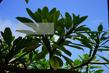 信用卡逾期打家里电话 信用卡逾期打家里电话