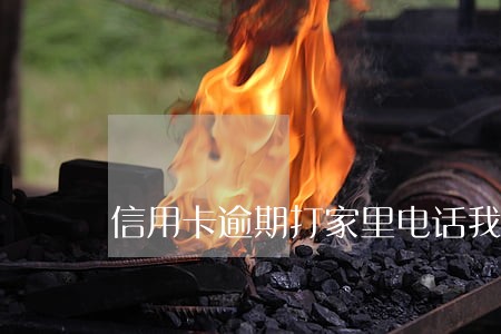 信用卡逾期打家里电话我骂他了