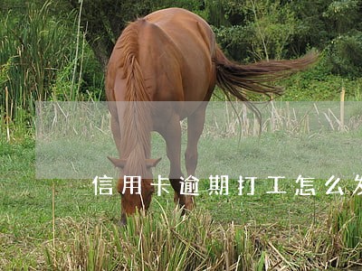 信用卡逾期打工怎么发工资 信用卡逾期打工怎么发工资