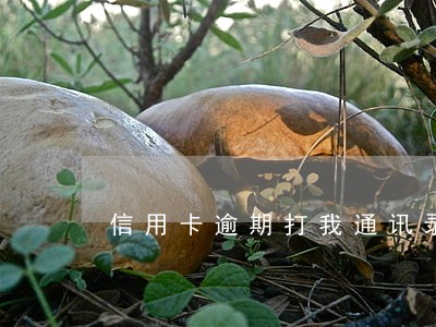 信用卡逾期打我通讯录