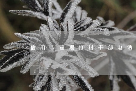 信用卡逾期打村干部电话 信用卡逾期打村干部电话