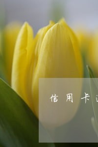 信用卡逾期打款能打过来吗