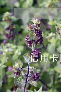 信用卡逾期打消保 信用卡逾期打消保