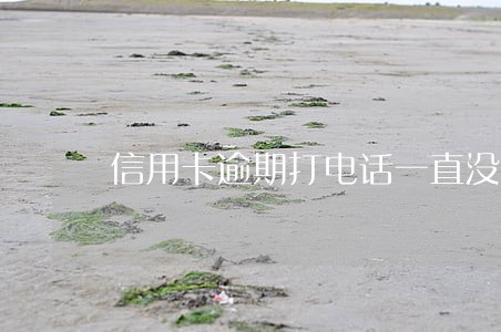信用卡逾期打电话一直没接