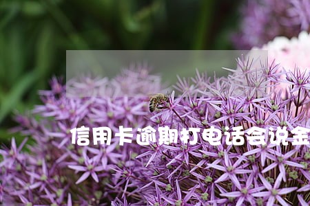信用卡逾期打电话会说金额吗 信用卡逾期打电话会说金额吗