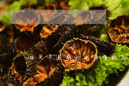 信用卡逾期打电话催款怎么办 信用卡逾期打电话催款怎么办
