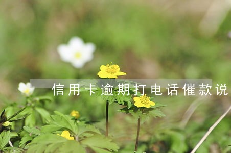 信用卡逾期打电话催款说什么 信用卡逾期打电话催款说什么