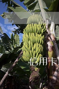 信用卡逾期打电话催还款 信用卡逾期打电话催还款