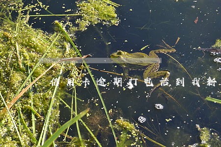 信用卡逾期打电话到我新单位