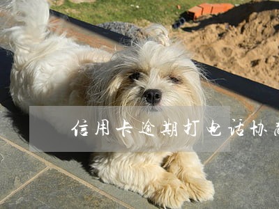 信用卡逾期打电话协商让我等待 信用卡逾期打电话协商让我等待