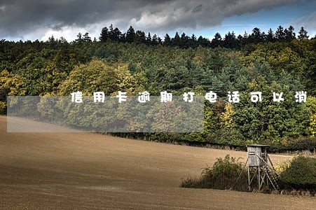 信用卡逾期打电话可以消除吗 信用卡逾期打电话可以消除吗