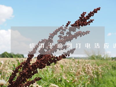 信用卡逾期打电话应诉 信用卡逾期打电话应诉