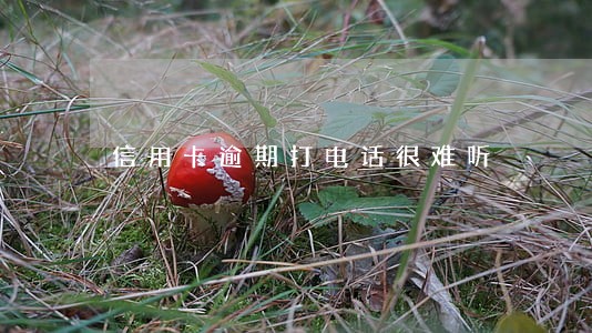 信用卡逾期打电话很难听 信用卡逾期打电话很难听