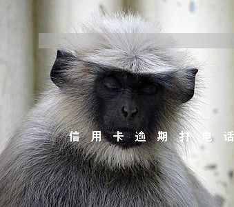 信用卡逾期打电话是公安局吗 信用卡逾期打电话是公安局吗