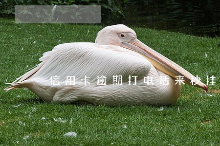 信用卡逾期打电话来秒挂 信用卡逾期打电话来秒挂