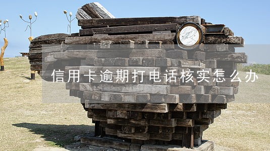 信用卡逾期打电话核实怎么办 信用卡逾期打电话核实怎么办