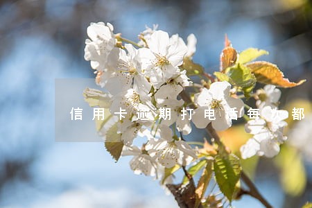 信用卡逾期打电话每次都接 信用卡逾期打电话每次都接