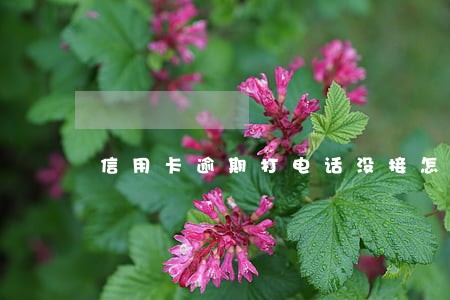 信用卡逾期打电话没接怎么办